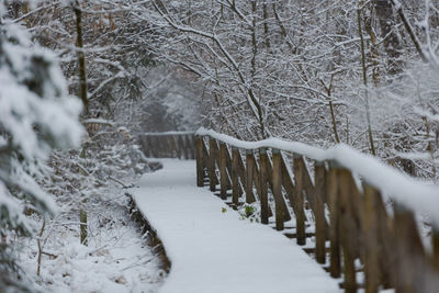 snow
