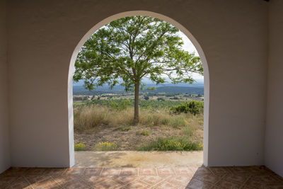 Trees on field seen through window