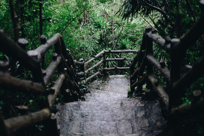 Footbridge in forest