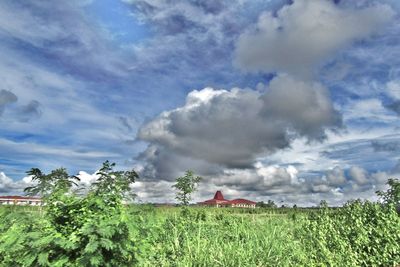 Scenic view of grassy field against cloudy sky