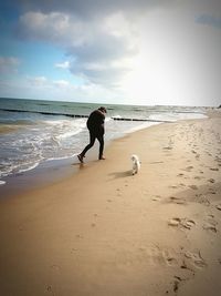 Full length of a dog on beach