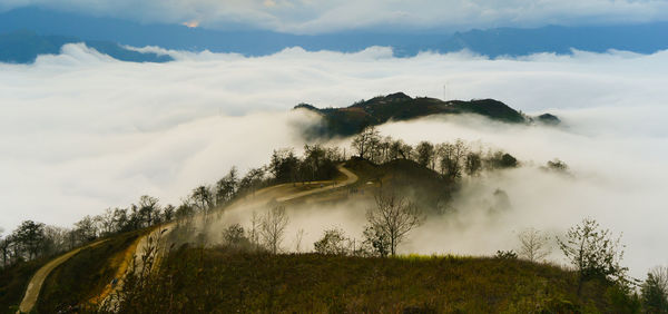 Scenic view of landscape against sky