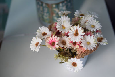 Close-up of white daisy flowers