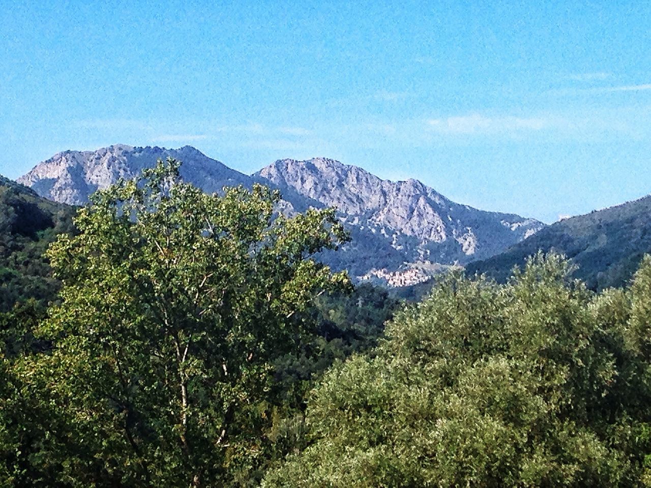 mountain, mountain range, tranquil scene, tranquility, clear sky, beauty in nature, scenics, blue, landscape, nature, tree, non-urban scene, growth, copy space, idyllic, green color, plant, day, sky, remote