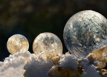 Close-up of christmas ornaments on snow