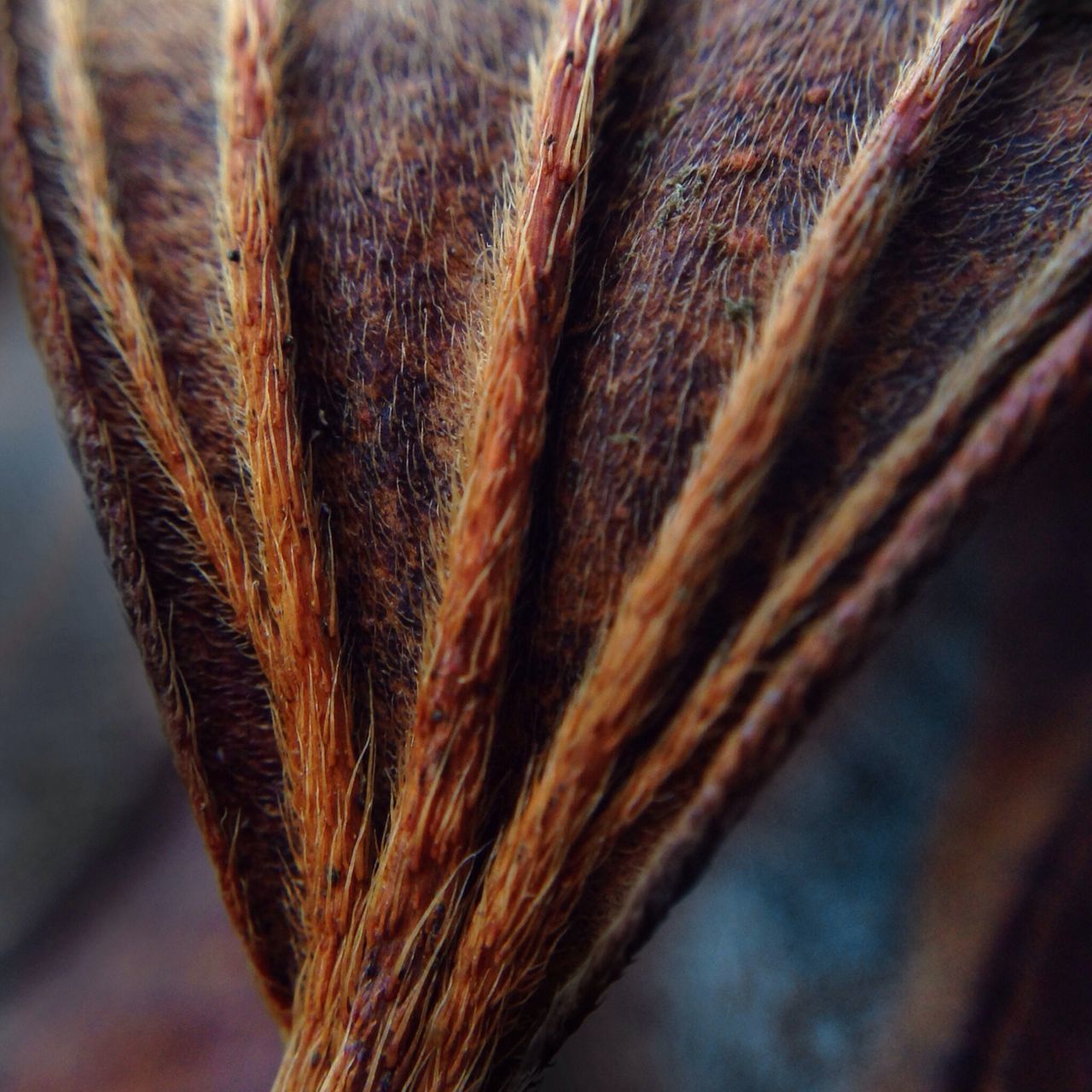 close-up, selective focus, focus on foreground, part of, detail, brown, rope, no people, day, outdoors, backgrounds, textured, pattern, cropped, full frame, extreme close up, nature, macro, textile