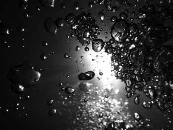 Close-up of water drops on glass