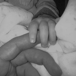 Close-up of father holding baby hand