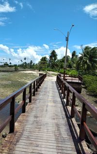 Empty wooden footbridge along plants