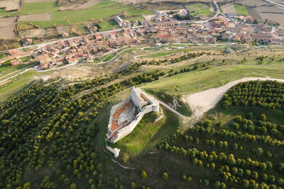 High angle view of agricultural field