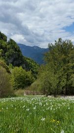 Scenic view of grassy field against cloudy sky