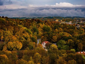 High angle view of trees and plants by buildings against sky