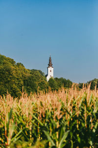 Scenic view of field against clear sky