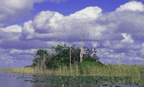 Scenic view of field against cloudy sky