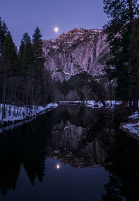 Reflection of trees in lake