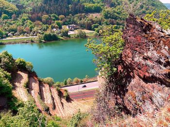 High angle view of trees by lake