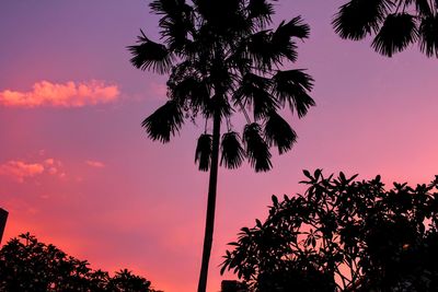 Low angle view of silhouette palm tree against romantic sky
