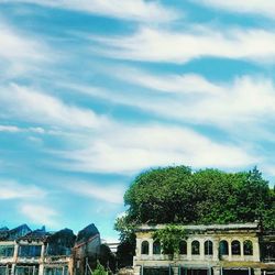 Trees and buildings against sky