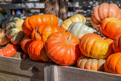 Close-up of pumpkins for sale at market stall