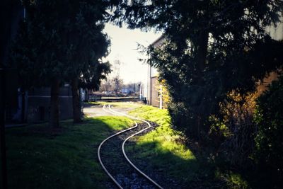 Road amidst trees in city against sky