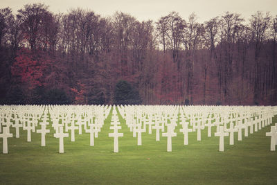 Panoramic view of cemetery