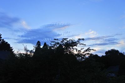 Low angle view of silhouette trees against sky at sunset