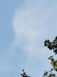 sky