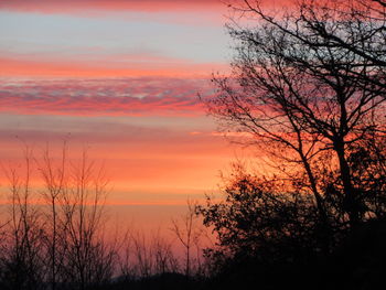 Trees against romantic sky at sunset