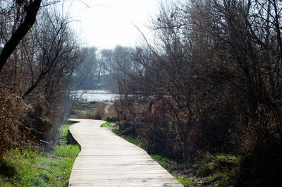 Footbridge amidst trees against sky