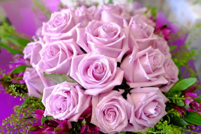 Close-up of pink roses