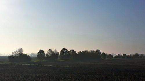 Trees on field against clear sky