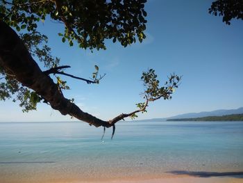 Scenic view of sea against clear sky