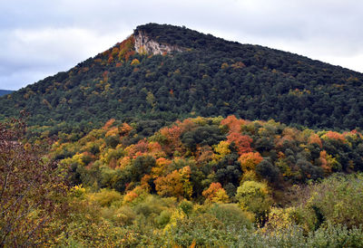 Scenic view of mountain against sky