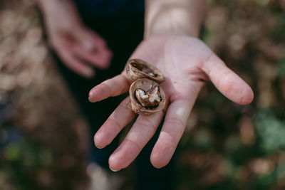 Close-up of person holding walnut