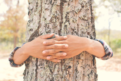 Cropped hand of man embracing tree trunk