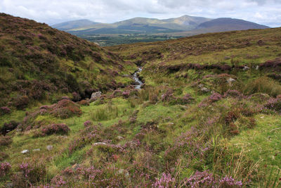 Scenic view of green landscape and mountains against sky