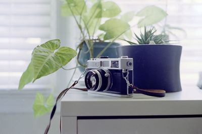 Close-up of camera and potted plant on table