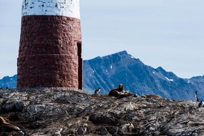 Low angle view of horse on rock against sky