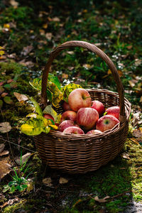 Fruits in basket on field