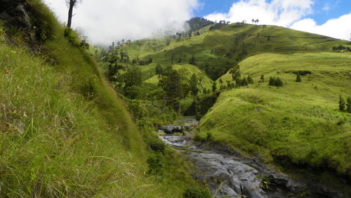 Scenic view of green landscape against sky