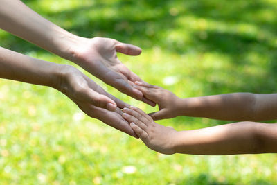 Close-up of hands on branch