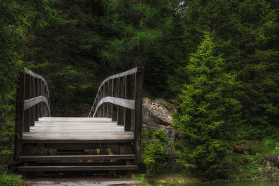 Footbridge amidst trees in forest