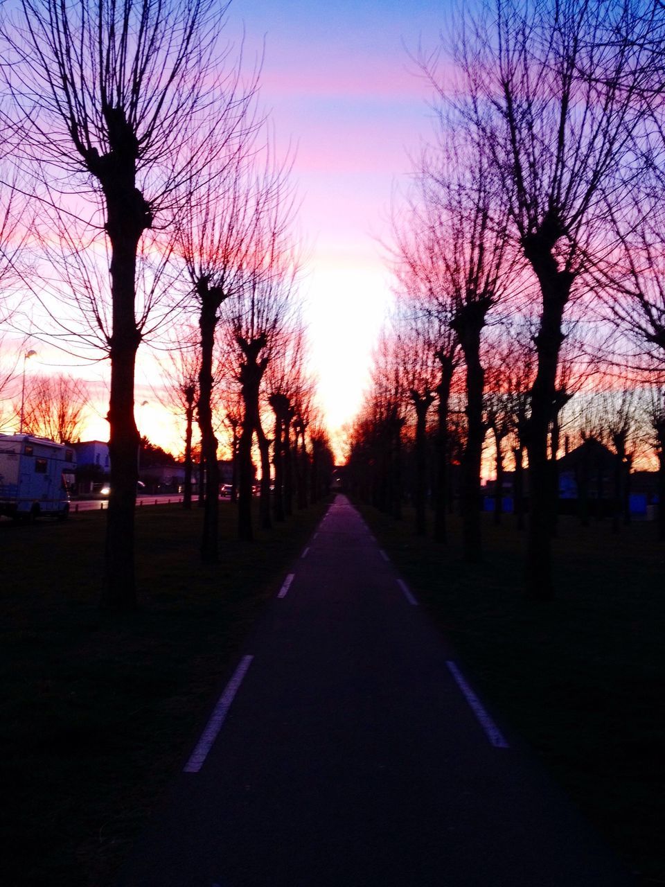 tree, bare tree, sunset, the way forward, silhouette, diminishing perspective, sky, treelined, tranquility, tranquil scene, vanishing point, road, tree trunk, branch, nature, scenics, long, blue, dusk, transportation