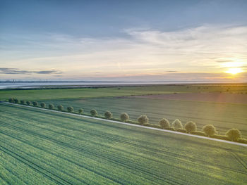 Scenic view of field against sky during sunset