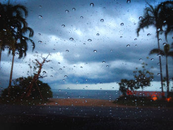 Raindrops on glass window