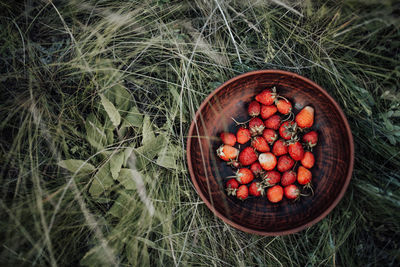 High angle view of fruits in bowl on field