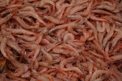 Full frame shot of prawns for sale in market