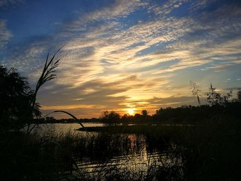 Silhouette trees by lake against sky during sunset