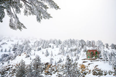 Snow covered land and trees against clear sky