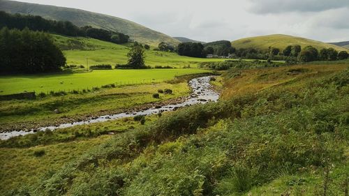 Scenic view of green landscape against sky